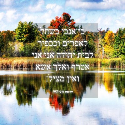 Picture 04 - הושע 5:14 HEB - כי אנכי כשחל לאפרים וככפיר - Bible Verse Picture