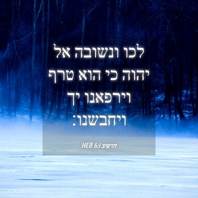 Picture 04 - הושע 6:1 HEB - לכו ונשובה אל יהוה כי הוא - Bible Verse Picture