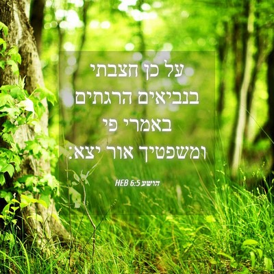 Picture 04 - הושע 6:5 HEB - על כן חצבתי בנביאים הרגתים - Bible Verse Picture