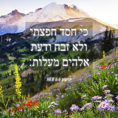 Picture 04 - הושע 6:6 HEB - כי חסד חפצתי ולא זבח ודעת - Bible Verse Picture