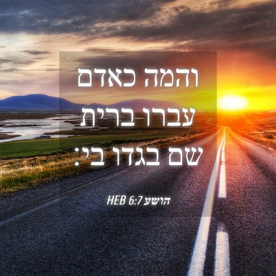 Picture 04 - הושע 6:7 HEB - והמה כאדם עברו ברית שם בגדו - Bible Verse Picture