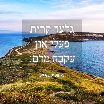 Picture 04 - הושע 6:8 HEB - גלעד קרית פעלי און עקבה - Bible Verse Picture