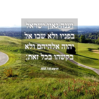 Picture 04 - הושע 7:10 HEB - וענה גאון ישראל בפניו ולא - Bible Verse Picture