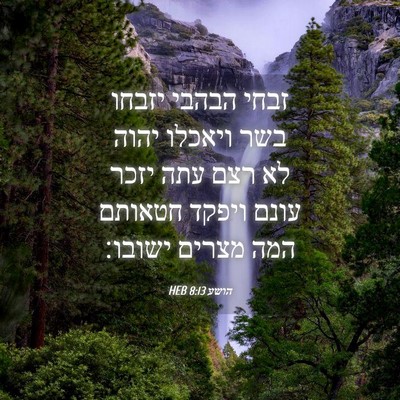 Picture 04 - הושע 8:13 HEB - זבחי הבהבי יזבחו בשר - Bible Verse Picture