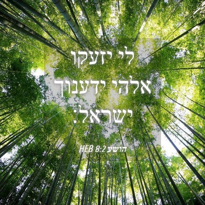 Picture 04 - הושע 8:2 HEB - לי יזעקו אלהי ידענוך - Bible Verse Picture