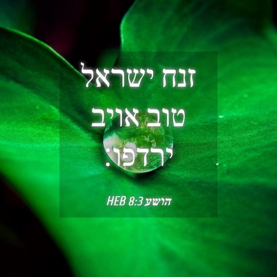 Picture 04 - הושע 8:3 HEB - זנח ישראל טוב אויב - Bible Verse Picture