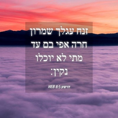 Picture 04 - הושע 8:5 HEB - זנח עגלך שמרון חרה אפי בם - Bible Verse Picture