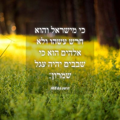 Picture 04 - הושע 8:6 HEB - כי מישראל והוא חרש עשהו ולא - Bible Verse Picture