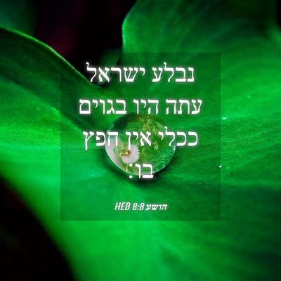 Picture 04 - הושע 8:8 HEB - נבלע ישראל עתה היו בגוים - Bible Verse Picture