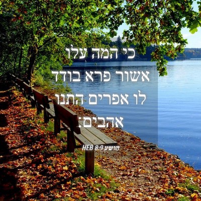 Picture 04 - הושע 8:9 HEB - כי המה עלו אשור פרא בודד לו - Bible Verse Picture