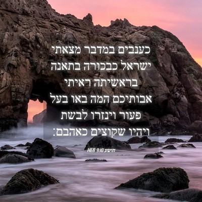 Picture 04 - הושע 9:10 HEB - כענבים במדבר מצאתי ישראל - Bible Verse Picture