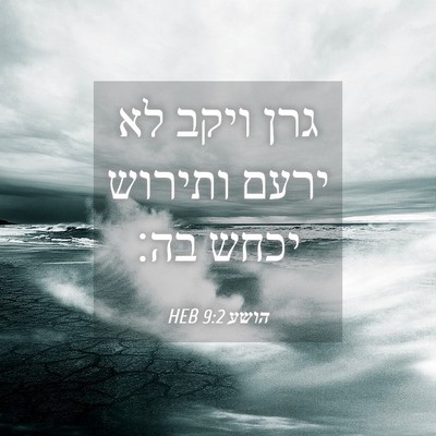 Picture 04 - הושע 9:2 HEB - גרן ויקב לא ירעם ותירוש - Bible Verse Picture