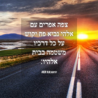 Picture 04 - הושע 9:8 HEB - צפה אפרים עם אלהי נביא פח - Bible Verse Picture