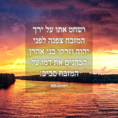 Picture 04 - ויקרא 1:11 HEB - ושחט אתו על ירך המזבח צפנה - Bible Verse Picture