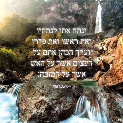 Picture 04 - ויקרא 1:12 HEB - ונתח אתו לנתחיו ואת ראשו - Bible Verse Picture