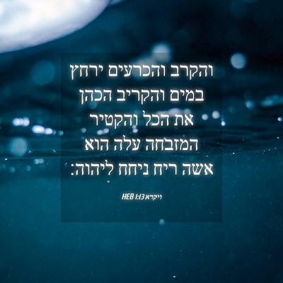 Picture 04 - ויקרא 1:13 HEB - והקרב והכרעים ירחץ במים - Bible Verse Picture
