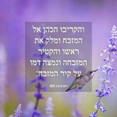 Picture 04 - ויקרא 1:15 HEB - והקריבו הכהן אל המזבח ומלק - Bible Verse Picture