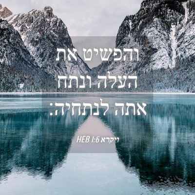 Picture 04 - ויקרא 1:6 HEB - והפשיט את העלה ונתח אתה - Bible Verse Picture
