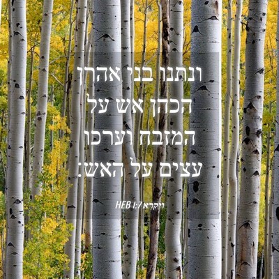 Picture 04 - ויקרא 1:7 HEB - ונתנו בני אהרן הכהן אש על - Bible Verse Picture