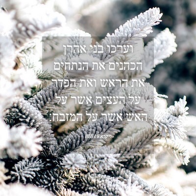 Picture 04 - ויקרא 1:8 HEB - וערכו בני אהרן הכהנים את - Bible Verse Picture