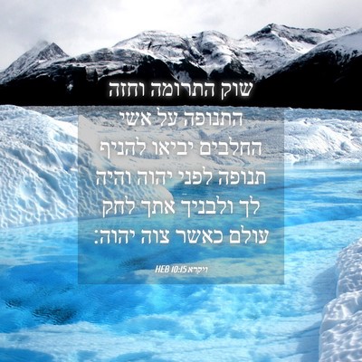 Picture 04 - ויקרא 10:15 HEB - שוק התרומה וחזה התנופה על - Bible Verse Picture
