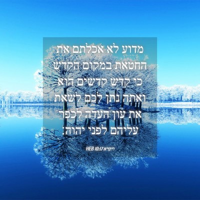 Picture 04 - ויקרא 10:17 HEB - מדוע לא אכלתם את החטאת - Bible Verse Picture