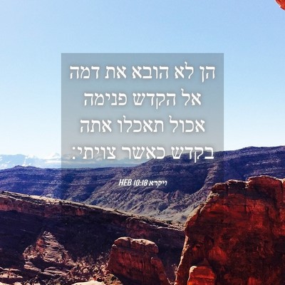 Picture 04 - ויקרא 10:18 HEB - הן לא הובא את דמה אל הקדש - Bible Verse Picture