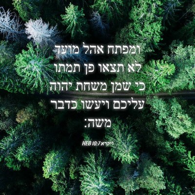 Picture 04 - ויקרא 10:7 HEB - ומפתח אהל מועד לא תצאו פן - Bible Verse Picture