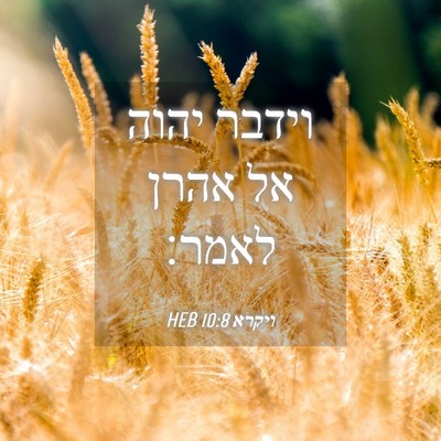 Picture 04 - ויקרא 10:8 HEB - וידבר יהוה אל אהרן - Bible Verse Picture