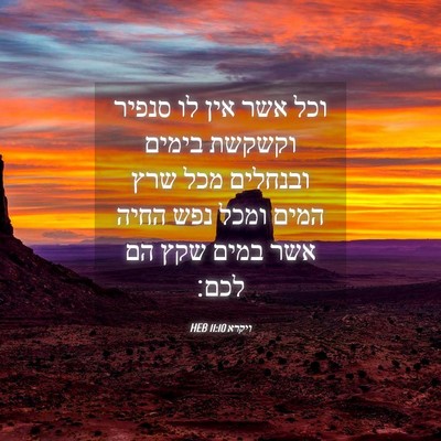 Picture 04 - ויקרא 11:10 HEB - וכל אשר אין לו סנפיר וקשקשת - Bible Verse Picture