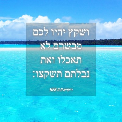 Picture 04 - ויקרא 11:11 HEB - ושקץ יהיו לכם מבשרם לא - Bible Verse Picture