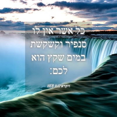 Picture 04 - ויקרא 11:12 HEB - כל אשר אין לו סנפיר וקשקשת - Bible Verse Picture