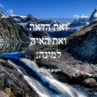 Picture 04 - ויקרא 11:14 HEB - ואת הדאה ואת האיה - Bible Verse Picture