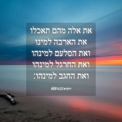 Picture 04 - ויקרא 11:22 HEB - את אלה מהם תאכלו את הארבה - Bible Verse Picture