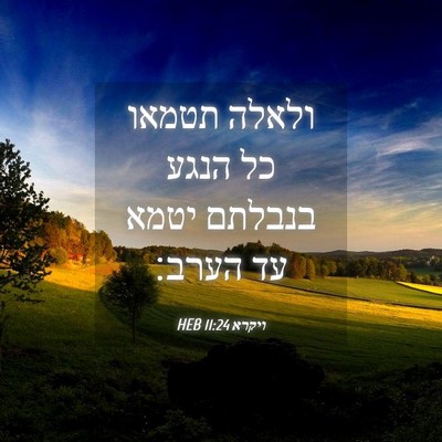 Picture 04 - ויקרא 11:24 HEB - ולאלה תטמאו כל הנגע בנבלתם - Bible Verse Picture