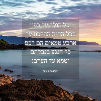 Picture 04 - ויקרא 11:27 HEB - וכל הולך על כפיו בכל החיה - Bible Verse Picture