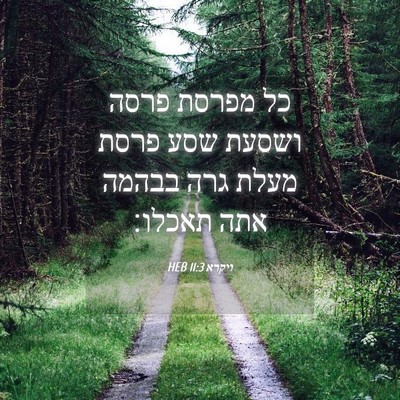 Picture 04 - ויקרא 11:3 HEB - כל מפרסת פרסה ושסעת שסע - Bible Verse Picture