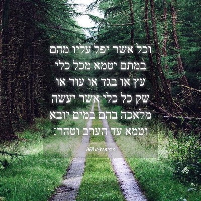 Picture 04 - ויקרא 11:32 HEB - וכל אשר יפל עליו מהם במתם - Bible Verse Picture
