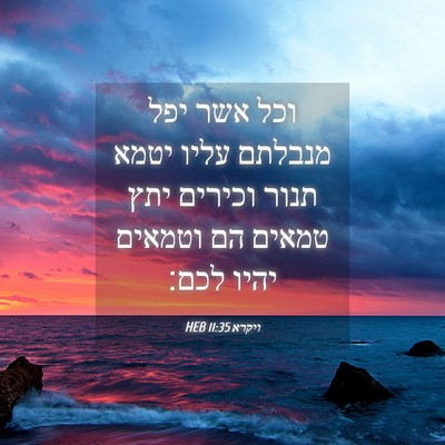 Picture 04 - ויקרא 11:35 HEB - וכל אשר יפל מנבלתם עליו - Bible Verse Picture
