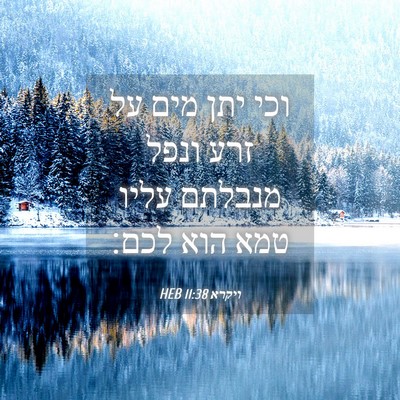 Picture 04 - ויקרא 11:38 HEB - וכי יתן מים על זרע ונפל - Bible Verse Picture