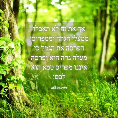 Picture 04 - ויקרא 11:4 HEB - אך את זה לא תאכלו ממעלי - Bible Verse Picture