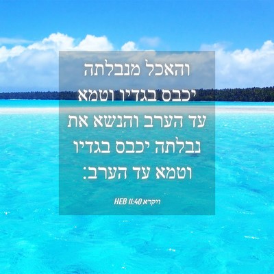 Picture 04 - ויקרא 11:40 HEB - והאכל מנבלתה יכבס בגדיו - Bible Verse Picture