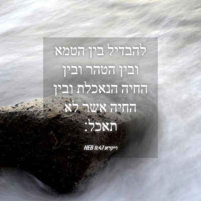 Picture 04 - ויקרא 11:47 HEB - להבדיל בין הטמא ובין הטהר - Bible Verse Picture