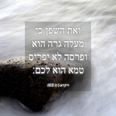 Picture 04 - ויקרא 11:5 HEB - ואת השפן כי מעלה גרה הוא - Bible Verse Picture