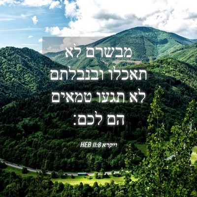 Picture 04 - ויקרא 11:8 HEB - מבשרם לא תאכלו ובנבלתם לא - Bible Verse Picture