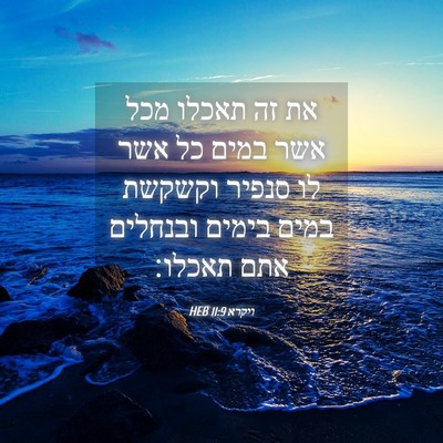 Picture 04 - ויקרא 11:9 HEB - את זה תאכלו מכל אשר במים כל - Bible Verse Picture