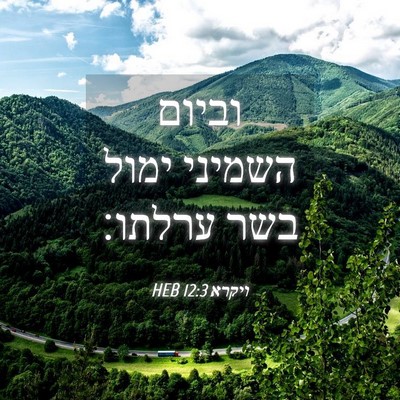 Picture 04 - ויקרא 12:3 HEB - וביום השמיני ימול בשר - Bible Verse Picture