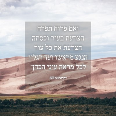 Picture 04 - ויקרא 13:12 HEB - ואם פרוח תפרח הצרעת בעור - Bible Verse Picture