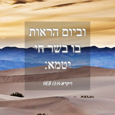 Picture 04 - ויקרא 13:14 HEB - וביום הראות בו בשר חי - Bible Verse Picture