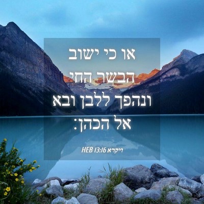Picture 04 - ויקרא 13:16 HEB - או כי ישוב הבשר החי ונהפך - Bible Verse Picture
